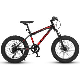 Ecarpat Kids Bike 20 Inch Wheels, 4" Wide Fat Tire Snow Mountain Bike Ages 8-12 Year Old, Steel Frame, 7 Speed Teenager Children Kids' Bicycles