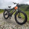 Electric Bike 1000W Motor Fat Tire 26x4 Mountain Bike