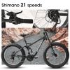 A26309 26 inch Mountain Bike,Full-Suspension 21 Speeds Drivetrain with Disc-Brake MTB Bicycle, 26*4" Fat tire Bike for Men